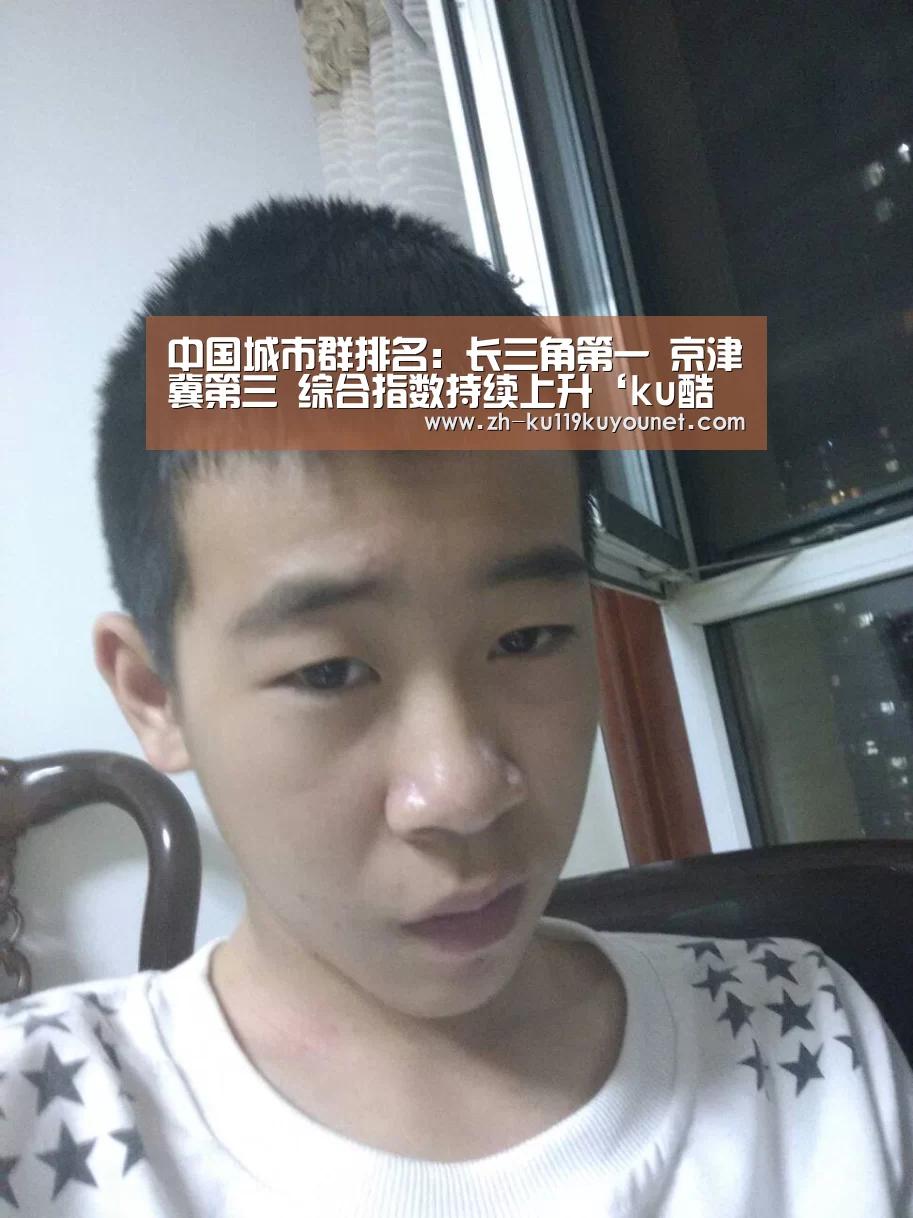 中国城市群排名:长三角第一 京津冀第三 综合指数持续上升‘ku酷游官网网址’(图3) ku酷游官网网址