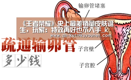 《王者荣耀》史上最差销量皮肤诞生,玩家:特效再好也不入手_ku酷游官网网址(图1) ku酷游官网网址